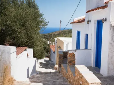 Arkadi