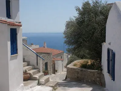 Ípsos
